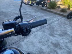 2014 HARLEY-DAVIDSON FLSTF FAT BOY Purple