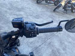2023 HARLEY-DAVIDSON RH1250S SPORTSTER S Black