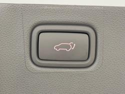 2019 Kia Carnival Platinum