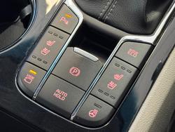 2019 Kia Carnival Platinum