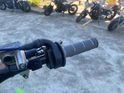 2021 Kawasaki KX250 Green