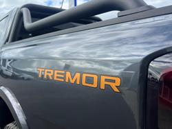 2024 Ford Ranger Tremor MY24.50 4X4 Dual Range Meteor Grey