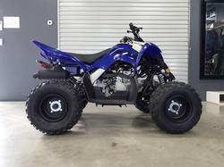 2025 Yamaha Raptor 110 (YFM110R) Raptor Blue