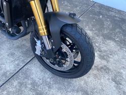 2023 Benelli LEONCINO 800 TERRAIN BROWN