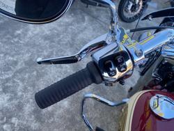 2025 Indian SPRINGFIELD SPECIAL EDITION IVORY WHITE