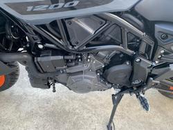 2023 Indian FTR Grey