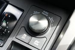 2020 Lexus NX NX300h Luxury