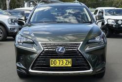2020 Lexus NX NX300h Luxury