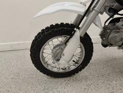 2026 Honda 2026 Honda 50CC CRF50F Minibike White
