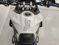 2026 Triumph 2026 TIGER 900 RALLY PRO SNOWDONIA WHITE
