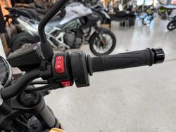 2026 Triumph 2026 Triumph 660CC Trident LAMS Yellow