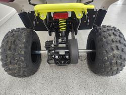 2022 CFMOTO C FORCE EV110 Green