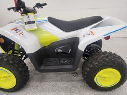 2022 CFMOTO C FORCE EV110 Green