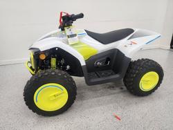 2022 CFMOTO C FORCE EV110 Green