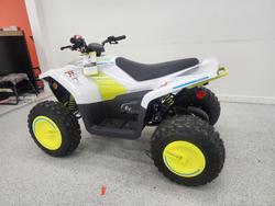 2022 CFMOTO C FORCE EV110 Green
