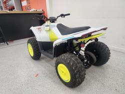 2022 CFMOTO C FORCE EV110 Green