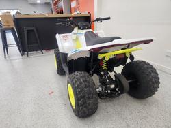 2022 CFMOTO C FORCE EV110 Green