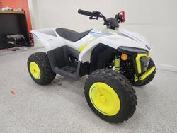 2022 CFMOTO C FORCE EV110 Green