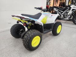 2022 CFMOTO C FORCE EV110 Green