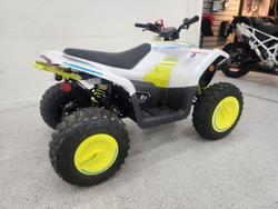 2022 CFMOTO C FORCE EV110 Green