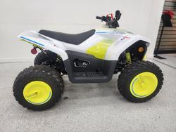 2022 CFMOTO C FORCE EV110 Green