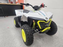 2022 CFMOTO C FORCE EV110 Green