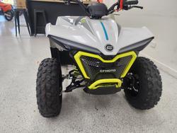 2022 CFMOTO C FORCE EV110 Green