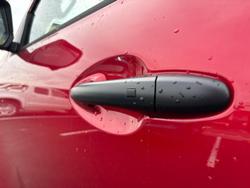 2025 GWM Cannon Vanta