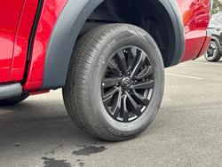 2025 GWM
Cannon Vanta