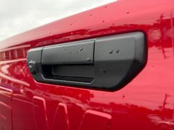 2025 GWM Cannon Vanta