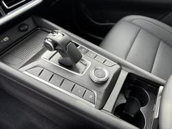 2025 GWM Cannon Vanta