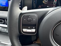 2025 GWM Cannon Vanta