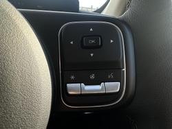 2025 GWM Cannon Vanta