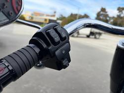 2018 HARLEY-DAVIDSON FLFBS_ANV FAT BOY ANNV