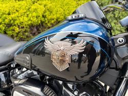 2018 HARLEY-DAVIDSON FLFBS_ANV FAT BOY ANNV