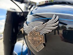 2018 HARLEY-DAVIDSON FLFBS_ANV FAT BOY ANNV