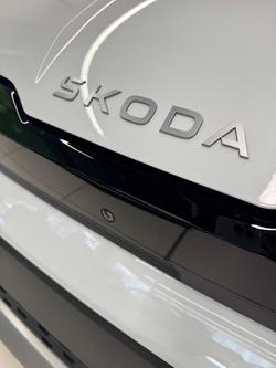 2025 SKODA
                Elroq 130 Years Edition