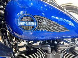 2025 Harley-Davidson Low Rider ST 117 (FXLRST) Softail Blue