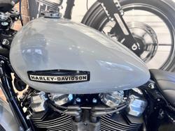 2025 Harley-Davidson Street Bob 117 (FXBB) Softail