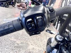 2025 Harley-Davidson Street Bob 117 (FXBB) Softail
