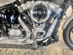 2025 Harley-Davidson Street Bob 117 (FXBB) Softail