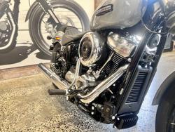 2025 Harley-Davidson Street Bob 117 (FXBB) Softail