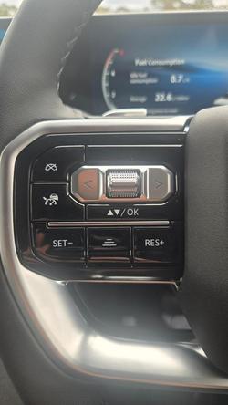 2025 LDV Terron 9 Evolve