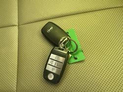 2018 Kia
                Carnival SLi