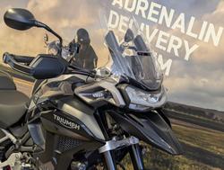 2024 Triumph Tiger 1200 GT Pro Tiger Black
