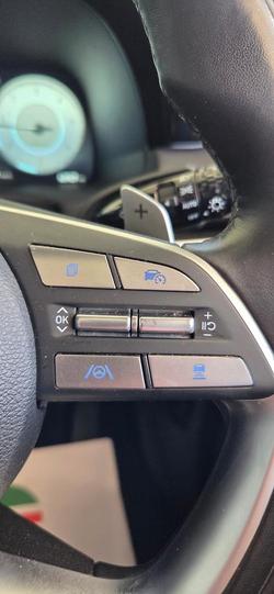 2023 Hyundai Palisade Calligraphy Black Ink LX2.V4 MY24 AWD Creamy White