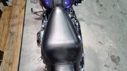 2002 Harley-davidson FLSTF FAT BOY Concord Purple