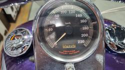 2002 Harley-davidson FLSTF FAT BOY Concord Purple