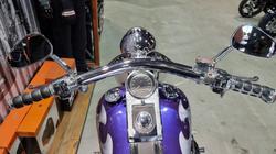 2002 Harley-davidson FLSTF FAT BOY Concord Purple