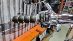 2002 Harley-davidson FLSTF FAT BOY Concord Purple